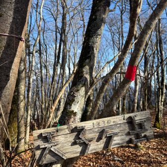 天使ヶ岳山頂
木が邪魔で眺望ありませんが、少し進むと展望スポットがあります