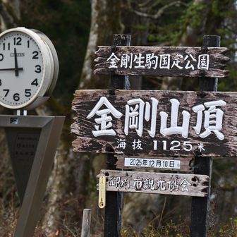 『金剛山』1,125m登頂☆
気温は2℃で雪はカケラも無し