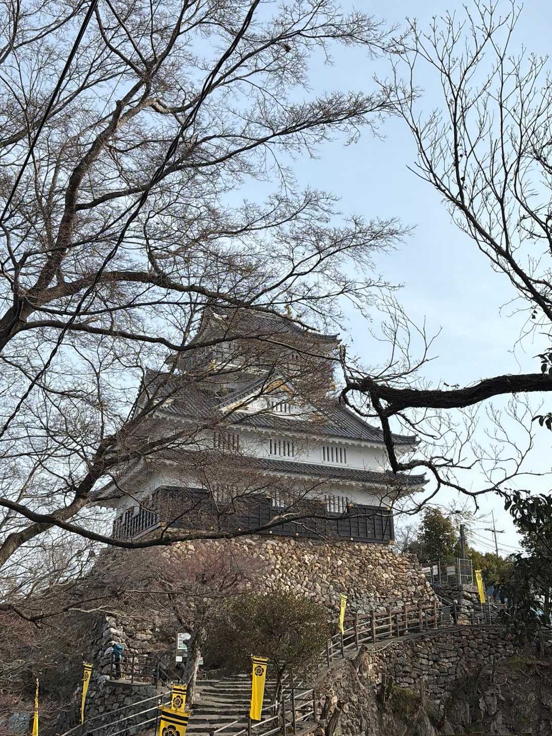 金華山 / Sunaくんさんの金華山・洞山・舟伏山の活動データ | YAMAP