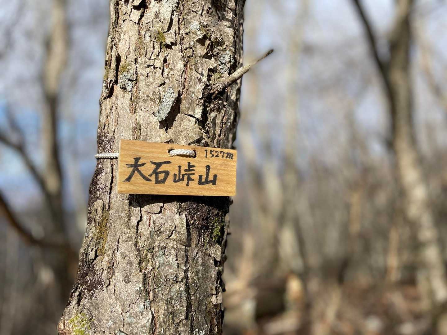 大石峠入口バス停-淵坂峠-毛無山-十二ヶ岳-金山-節刀ヶ岳 周回コースの写真