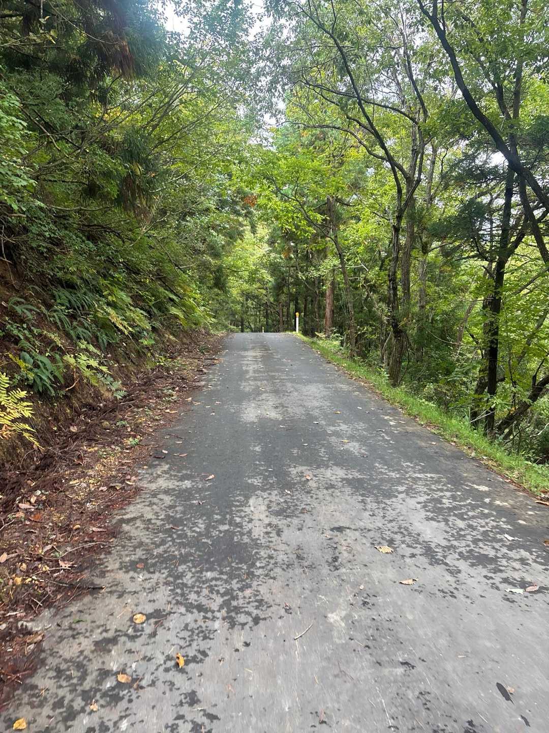 帰り道は、回ってみて微かな紅葉とりんごの香りが漂う幸せな道