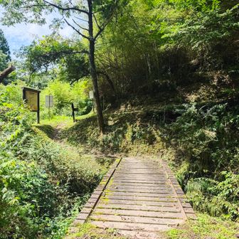 健脚コースとの分岐に到着。