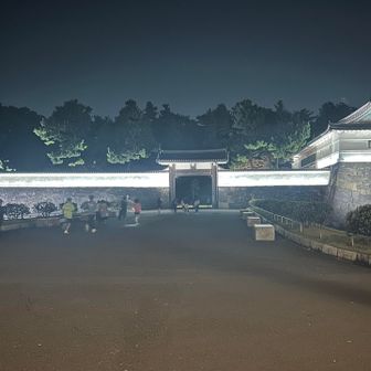 おお、皇居ランはあの中に入っていくのか。すごい。とにかくあまりの速さに気持ちよさそう、あんな風に走ってみたいと不覚にも思ってしまった。