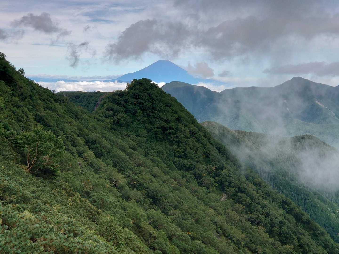 またまた富士山が現れました