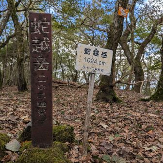 蛇越岳▲