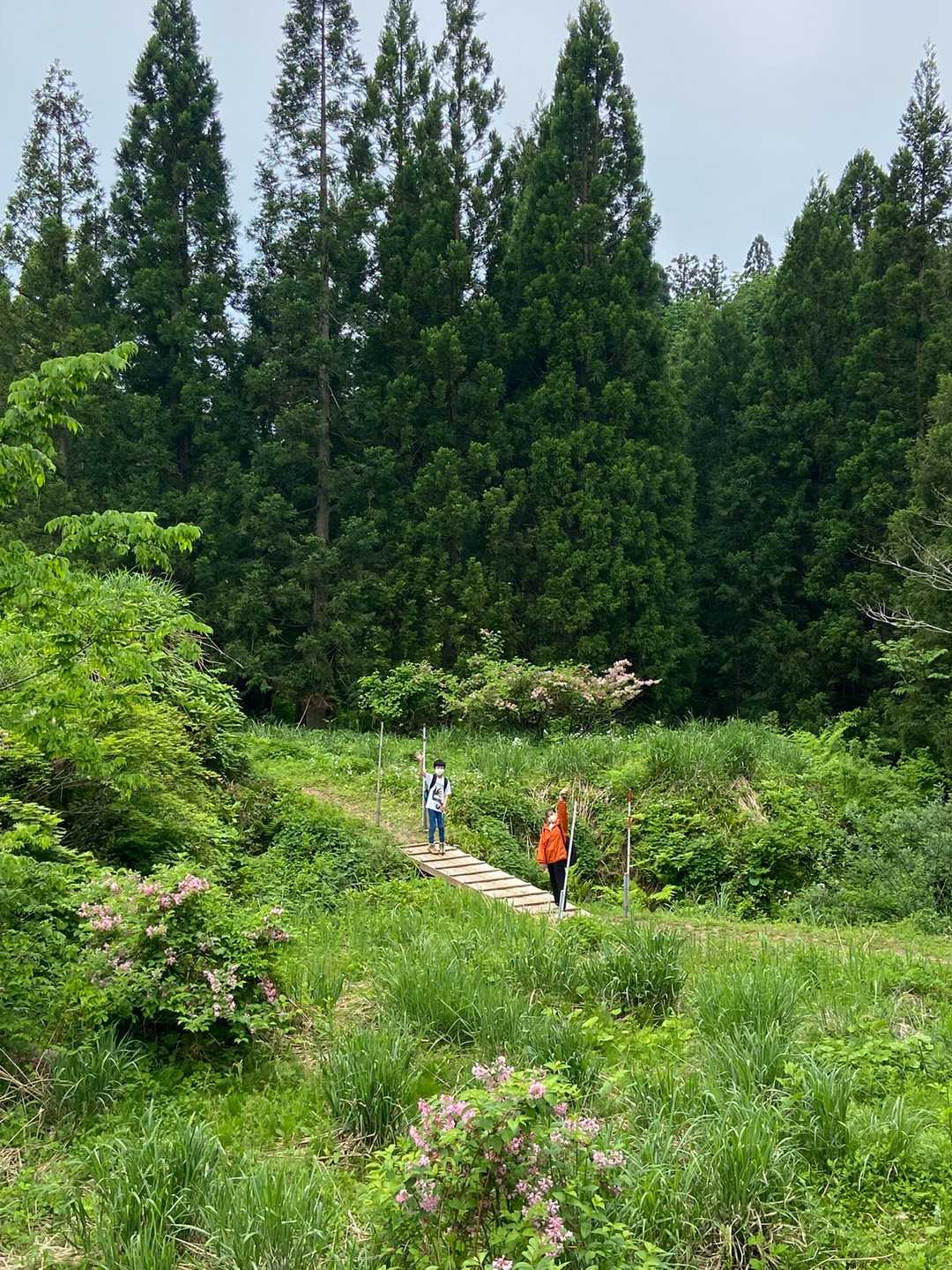 橋があって子供たちが手を振ってくれました👋
オオカミ子どもの花の家が近く
こんなところで雨と雪は遊んでいたんかな〜なんて
子ども達と想像しながら里山歩き楽しみました。
