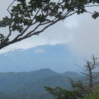 特定しようとしているうちにガスが再びガスが掛かる