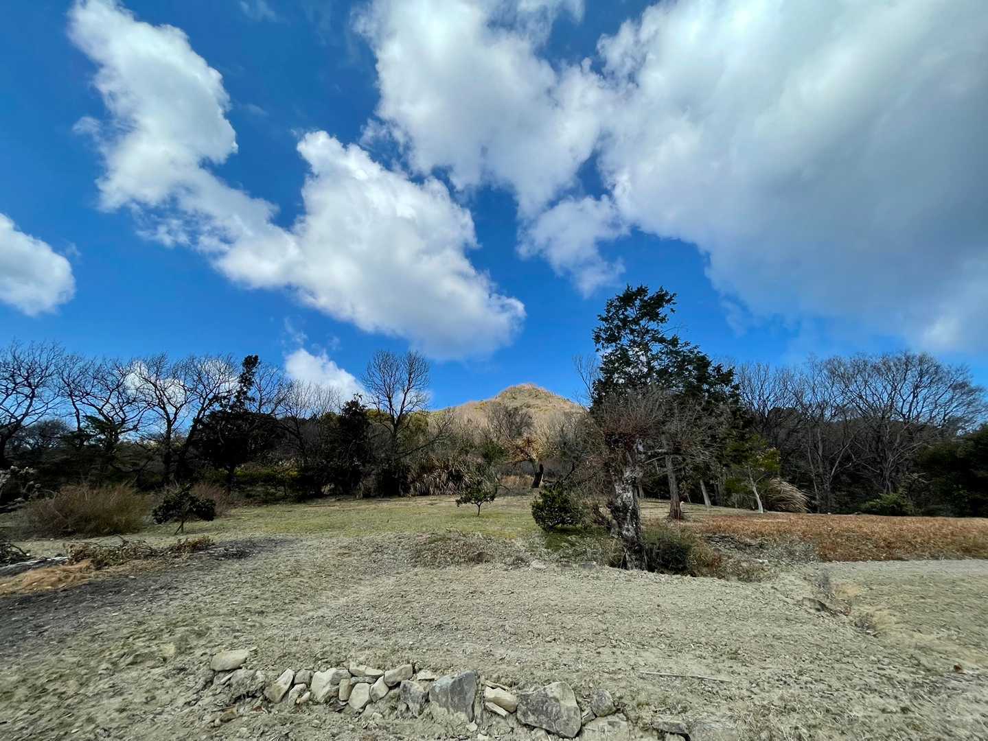 向こう見える貴峰山がきれい✨