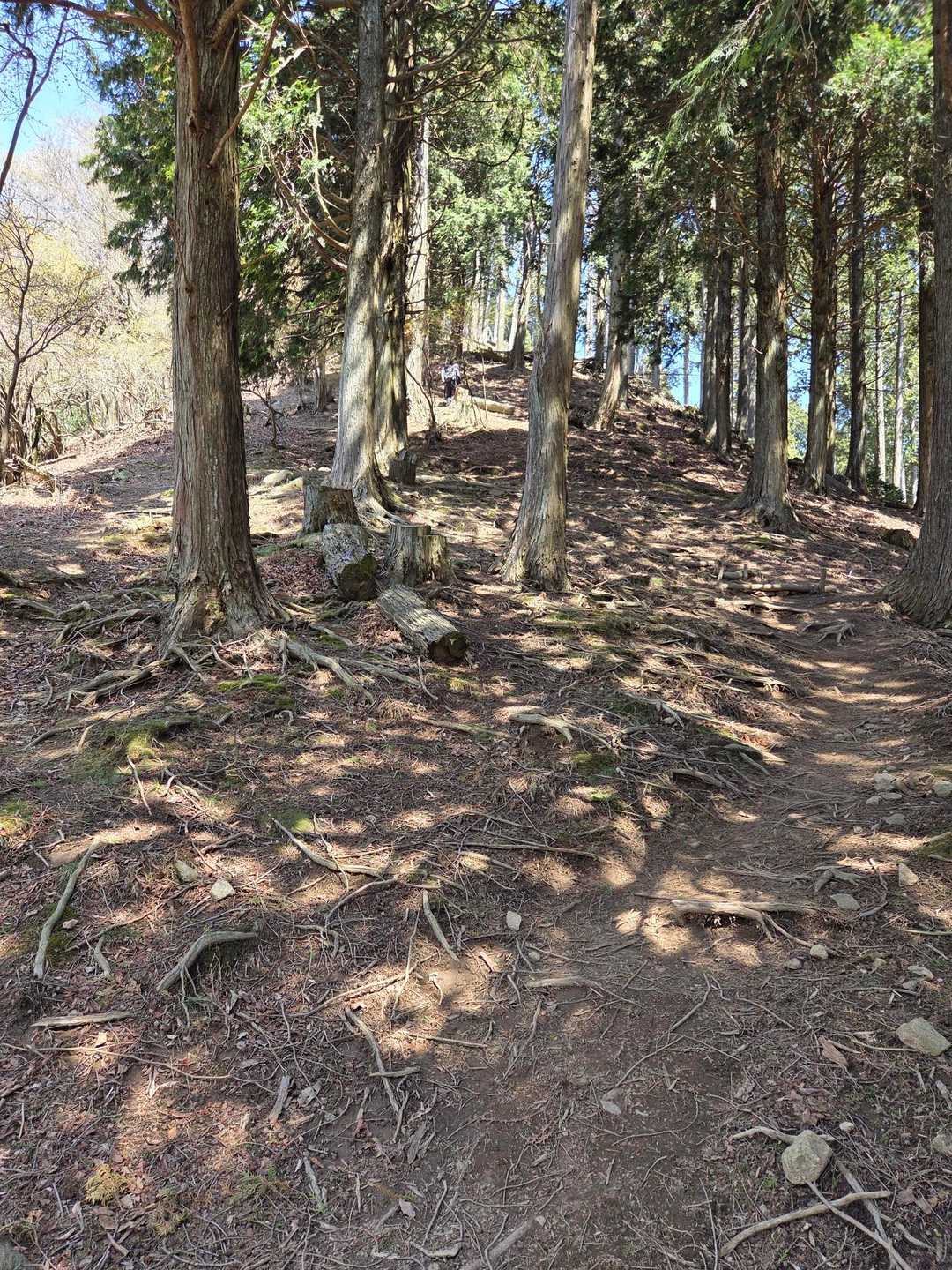 また、壁⛰️？😳