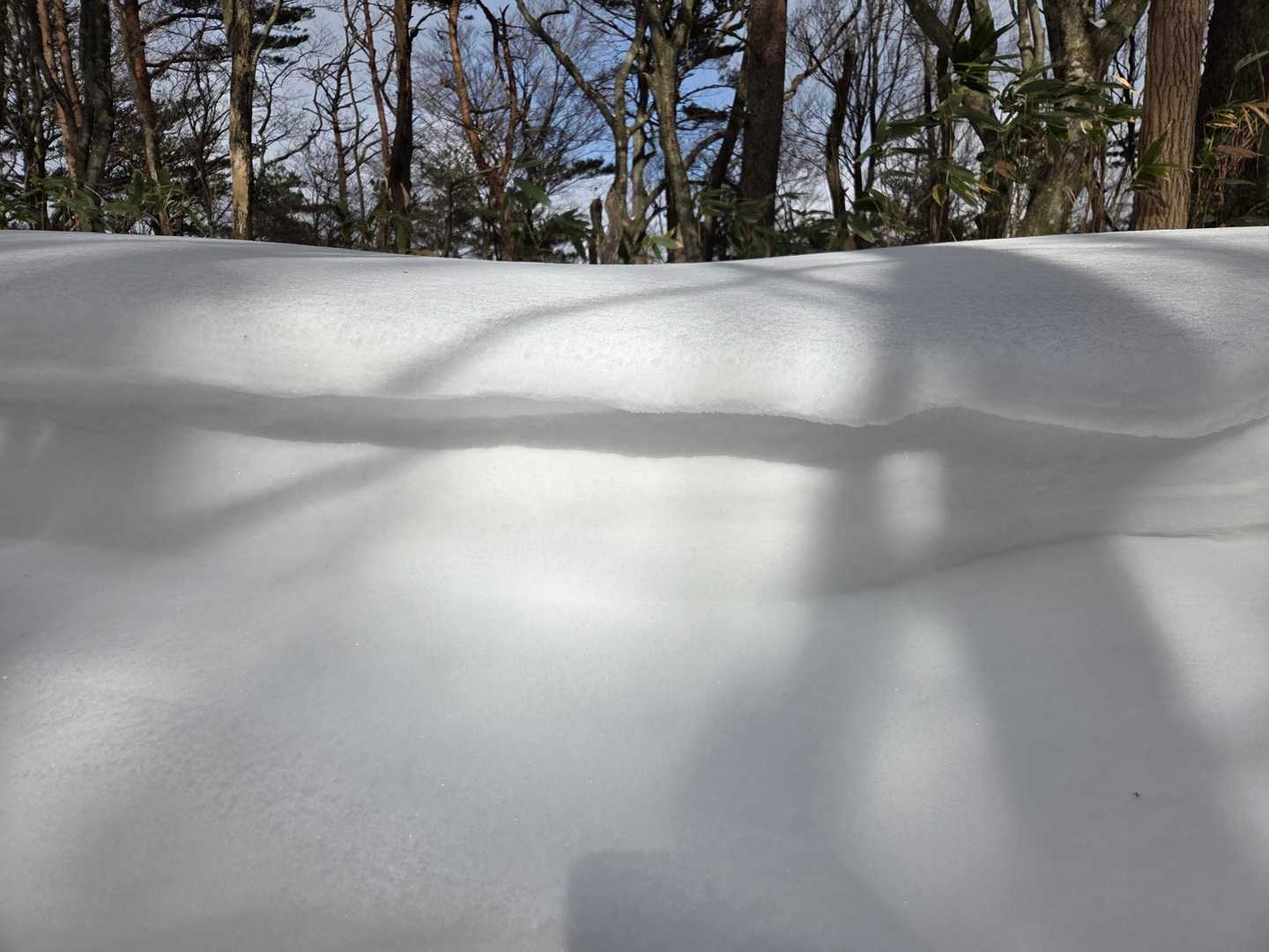 額取山 往復コースの写真