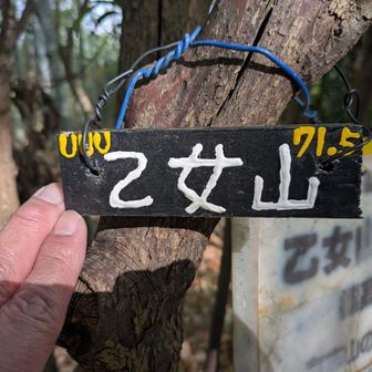 乙女山にも久〜しぶり登頂🔺👈😁腰痛からも復活ぎみ🫡