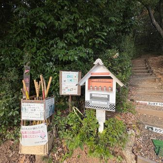 杖、お借りできるようです