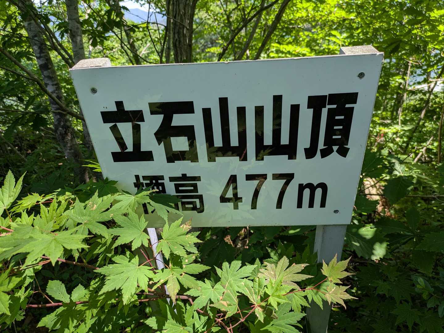 山頂には特筆すべきものなし