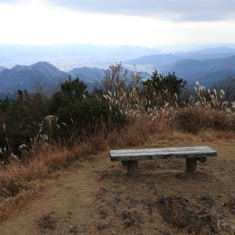 対岸(大分)も見えない