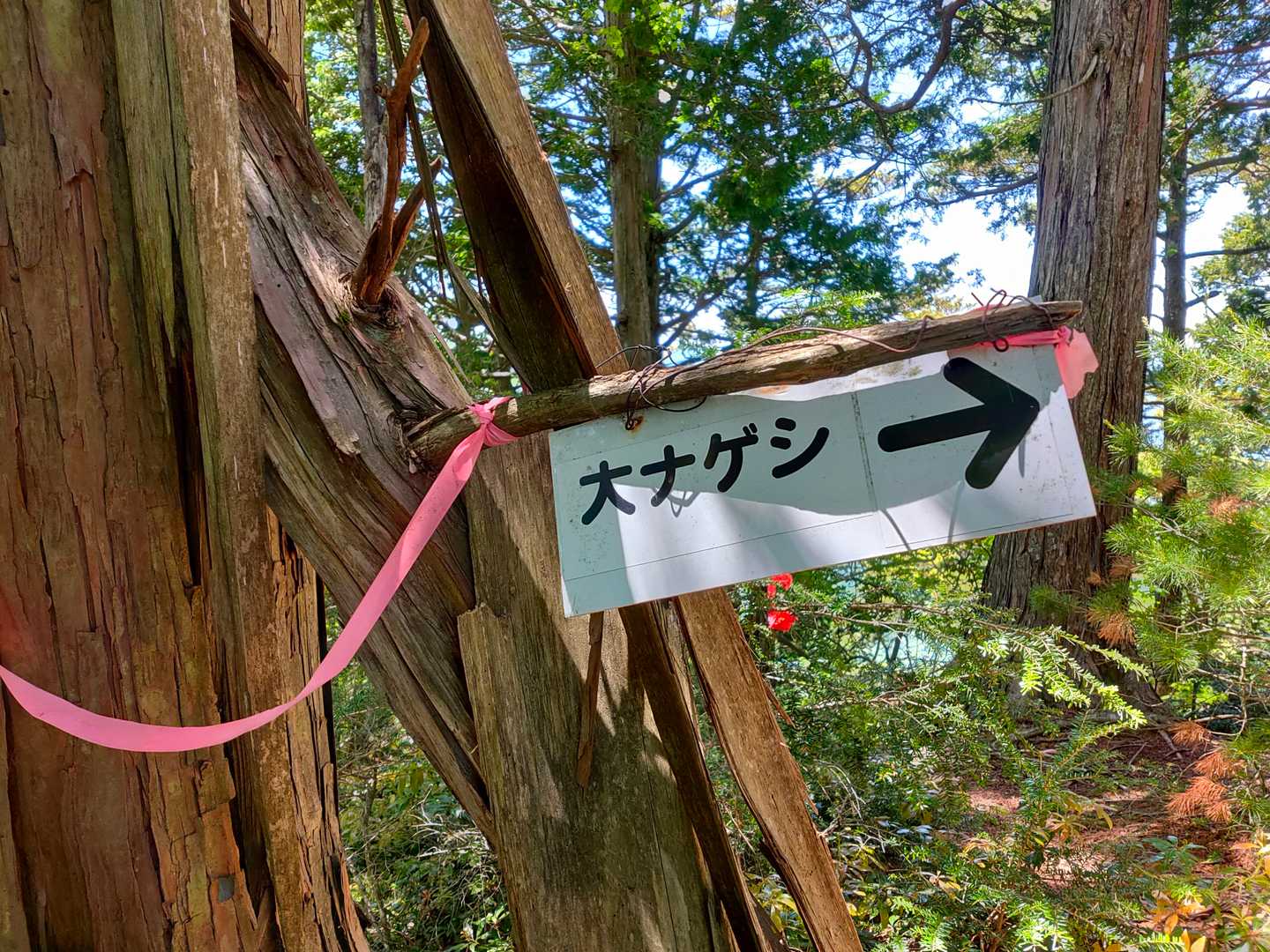 わりと案内は親切であった