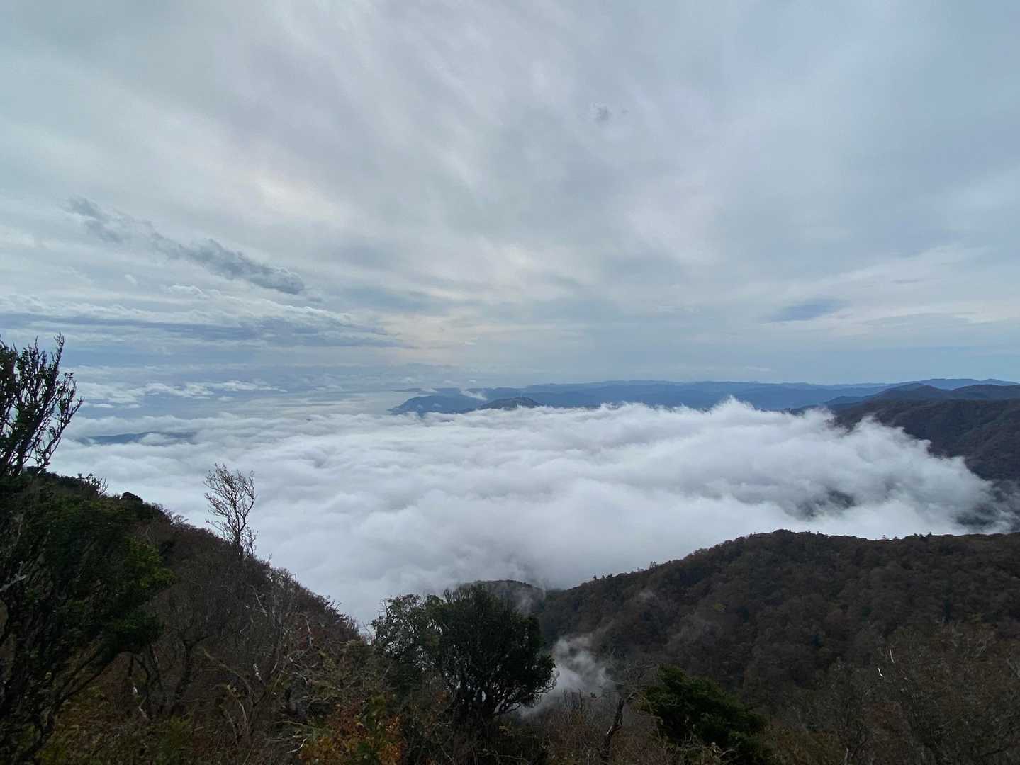 天城縦走登山口-万二郎岳 往復コースの写真