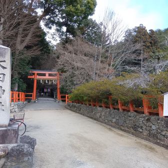 大田神社⛩️かきつばたで有名⁉️