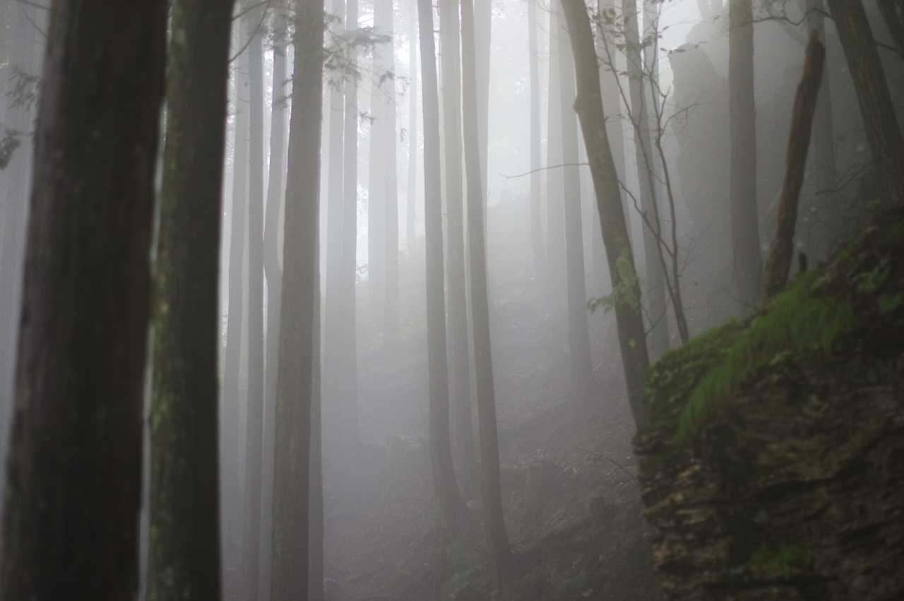幻想的でした