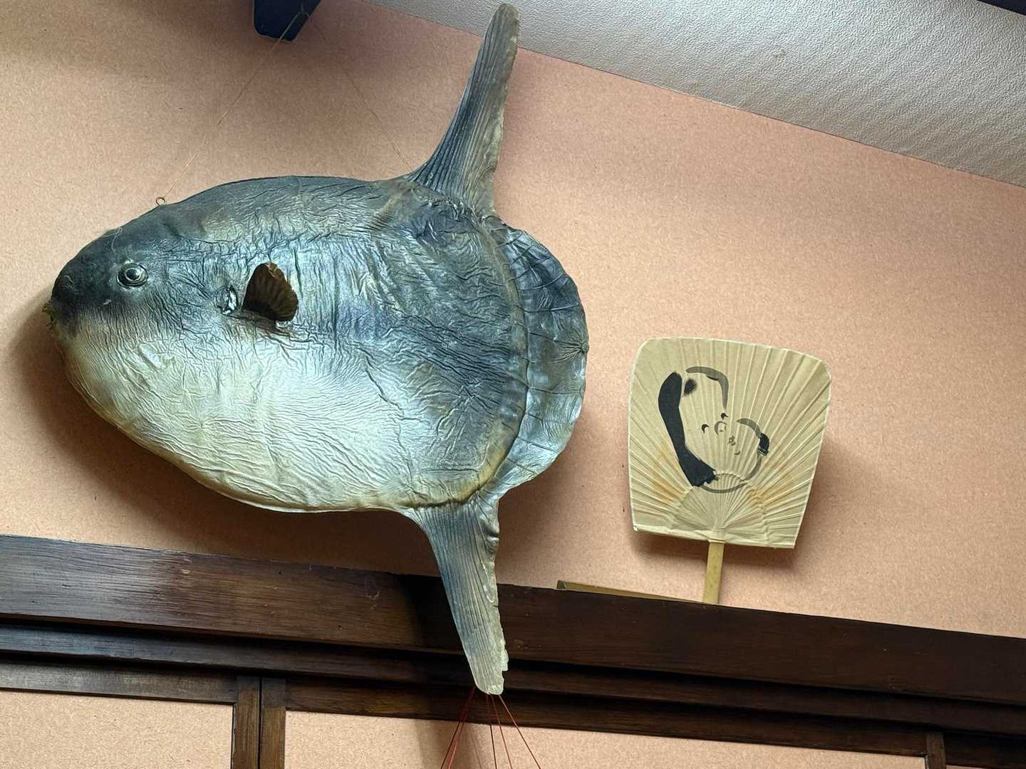 まんぼう