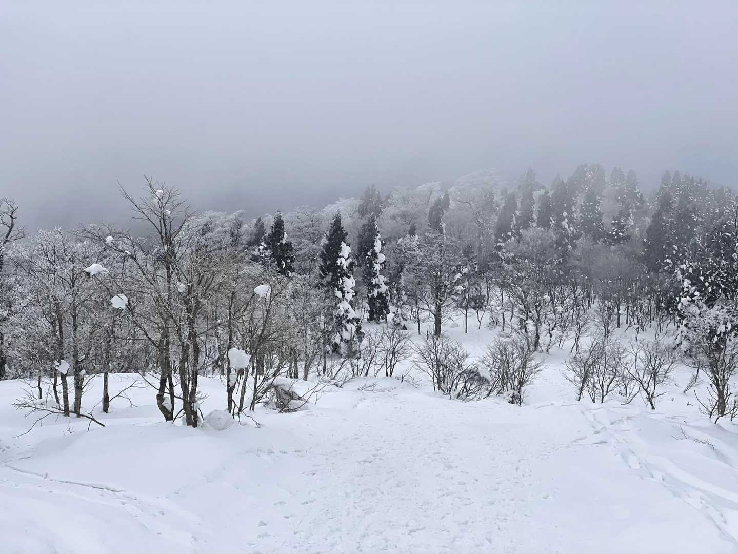 霧氷は少なめ