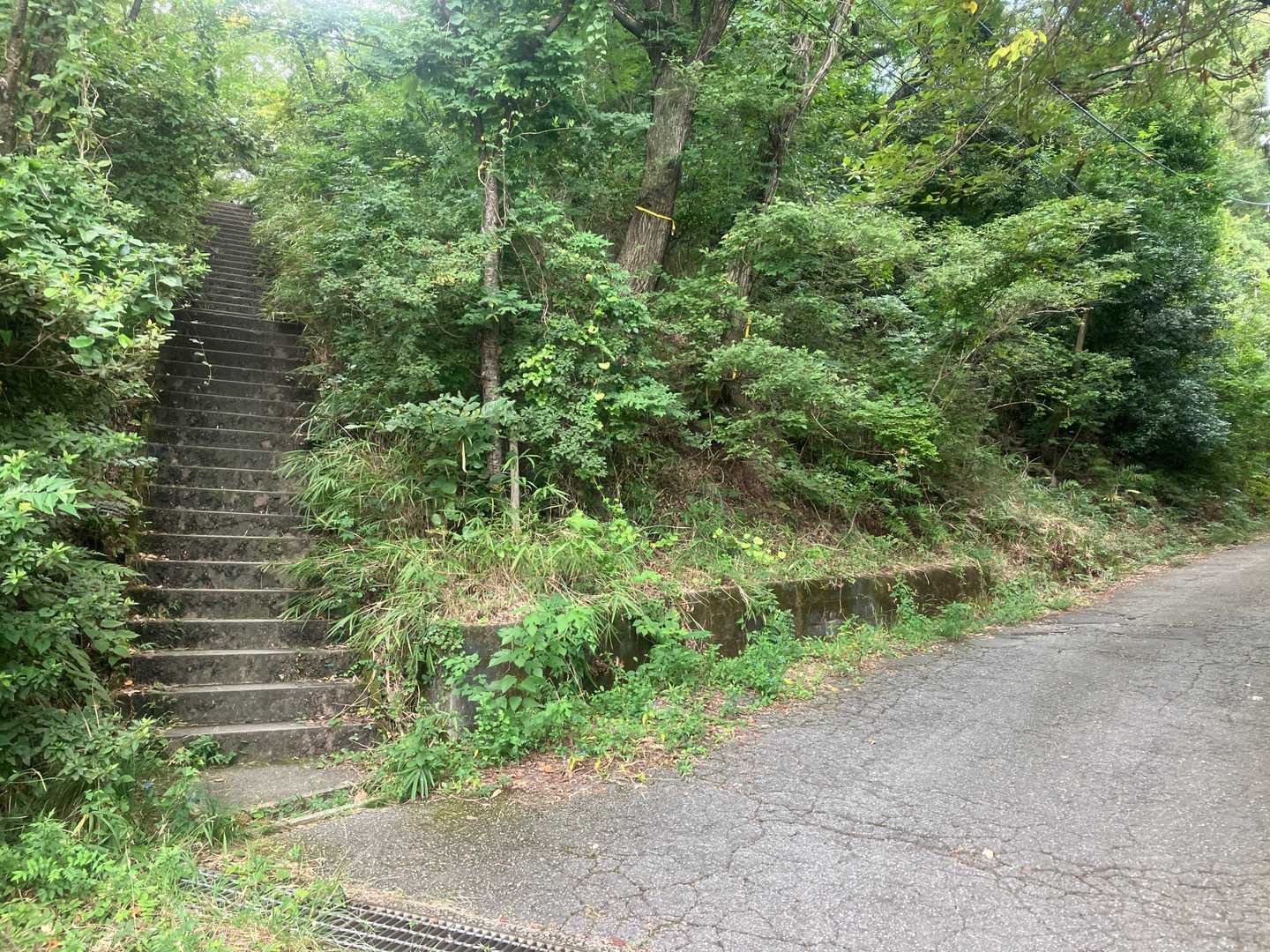 えんぺい寺までは右の車道を登らず、
左の直登ショートカットコースから登る😅