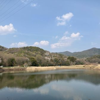 宮滝大池と春日井四山✨