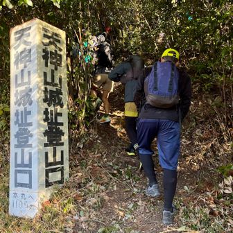 ロード区間を終えトレイルに入ります