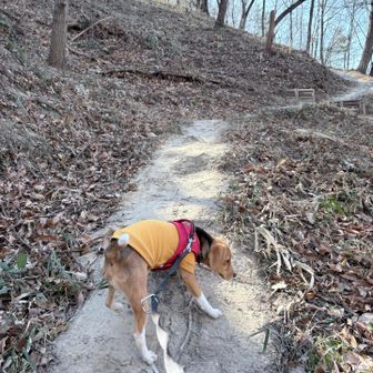 階段じゃない道があってよかった🤭