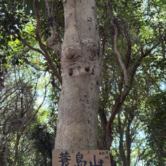 箕島山
山頂標識の上に↑
E.Tか犬が居ないか‥私だけに見えてる＾ω＾