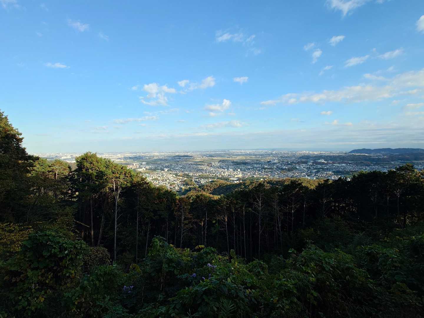 【フラット登山】海から山へ丹沢を目指す　湘南から幾重もの山と谷を越えての写真