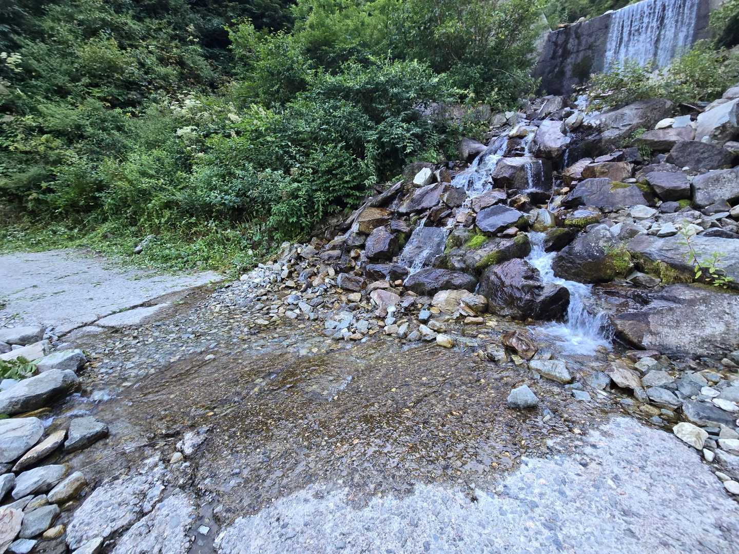 薬師岳登山口-アラスカ庭園-スイス庭園-日本庭園-三俣蓮華 縦走コースの写真