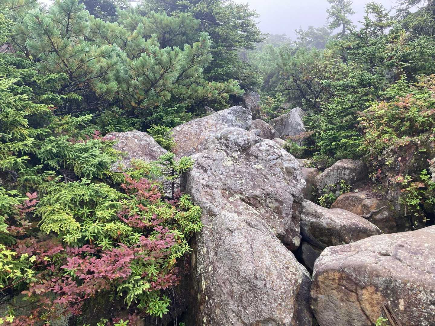 岩岩が続いて、