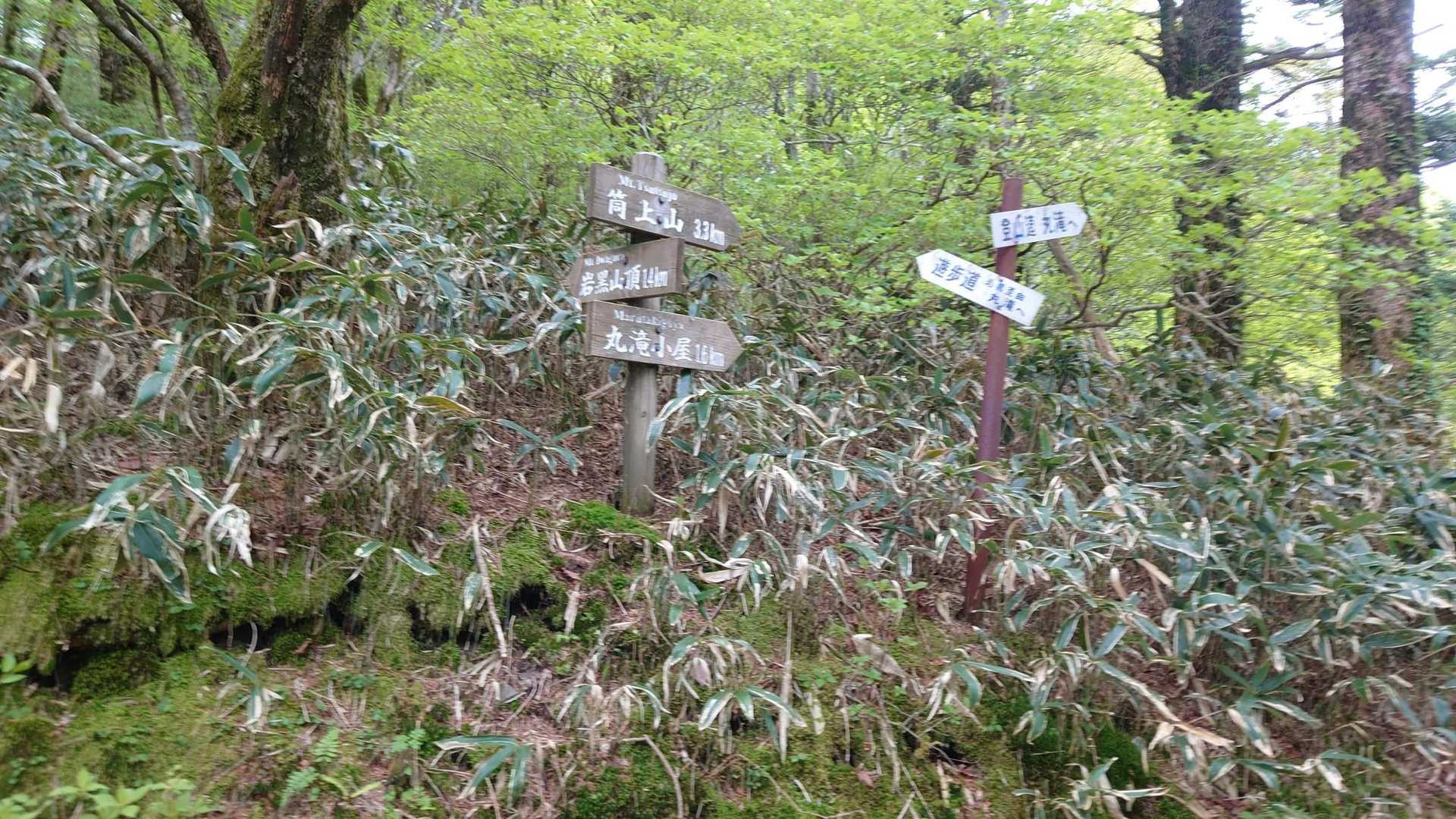 岩黒山 周回コースの写真