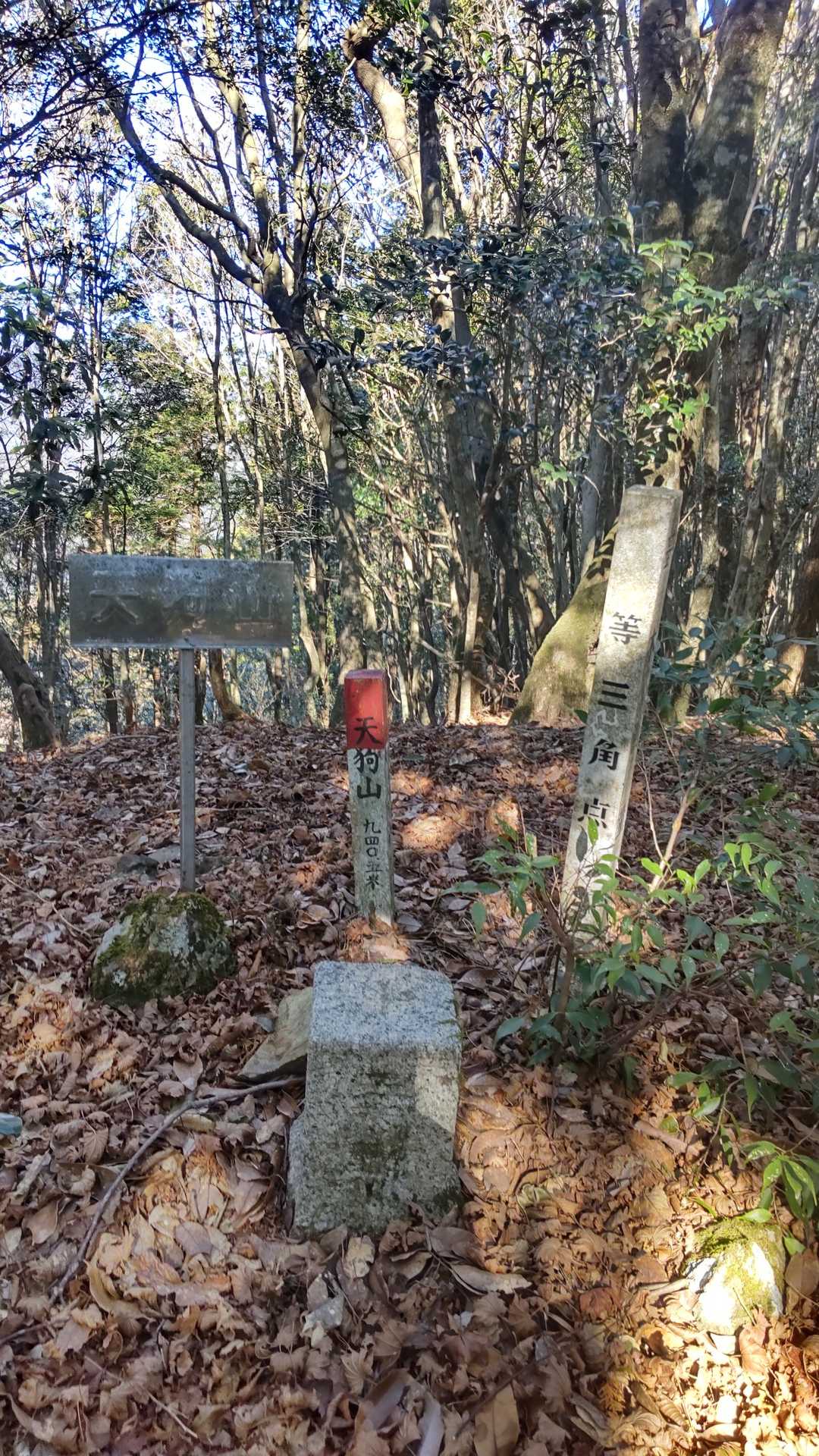 あっさり山頂