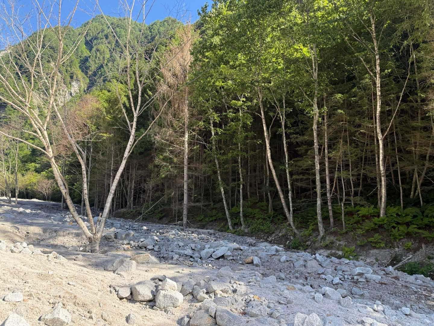去年泥水の中渡渉したところ。
今は水が流れていませんでした