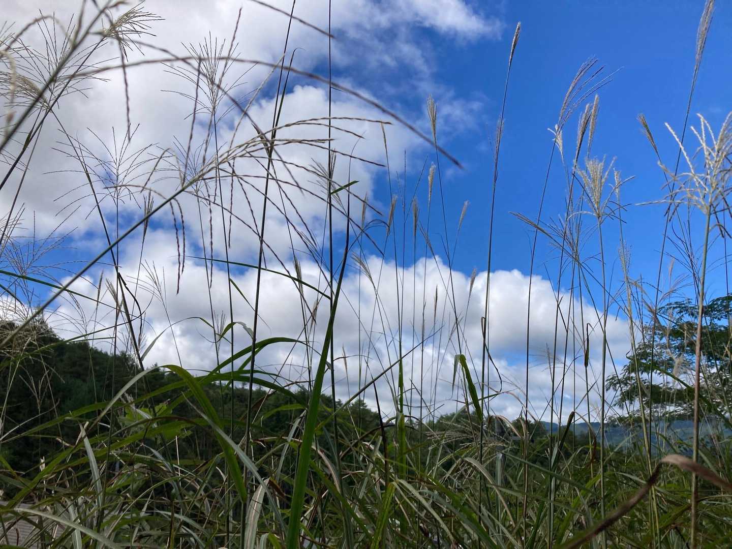 ため池-原山-松倉山-松倉遊歩道入口 縦走コースの写真