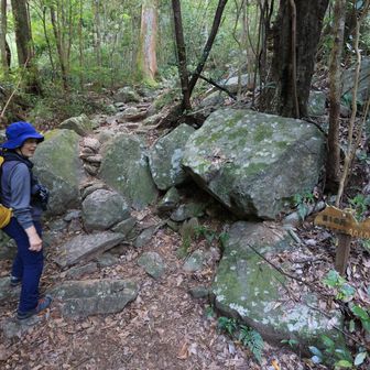 行縢山 大きな石の道