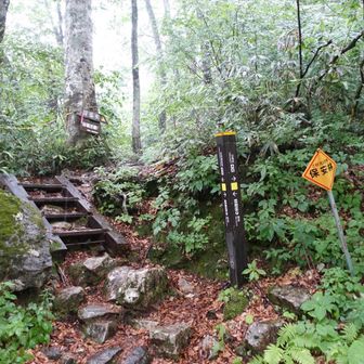 雨の中なんとか猿倉下山