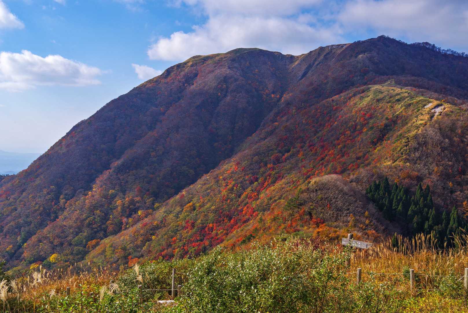 三瓶山の写真