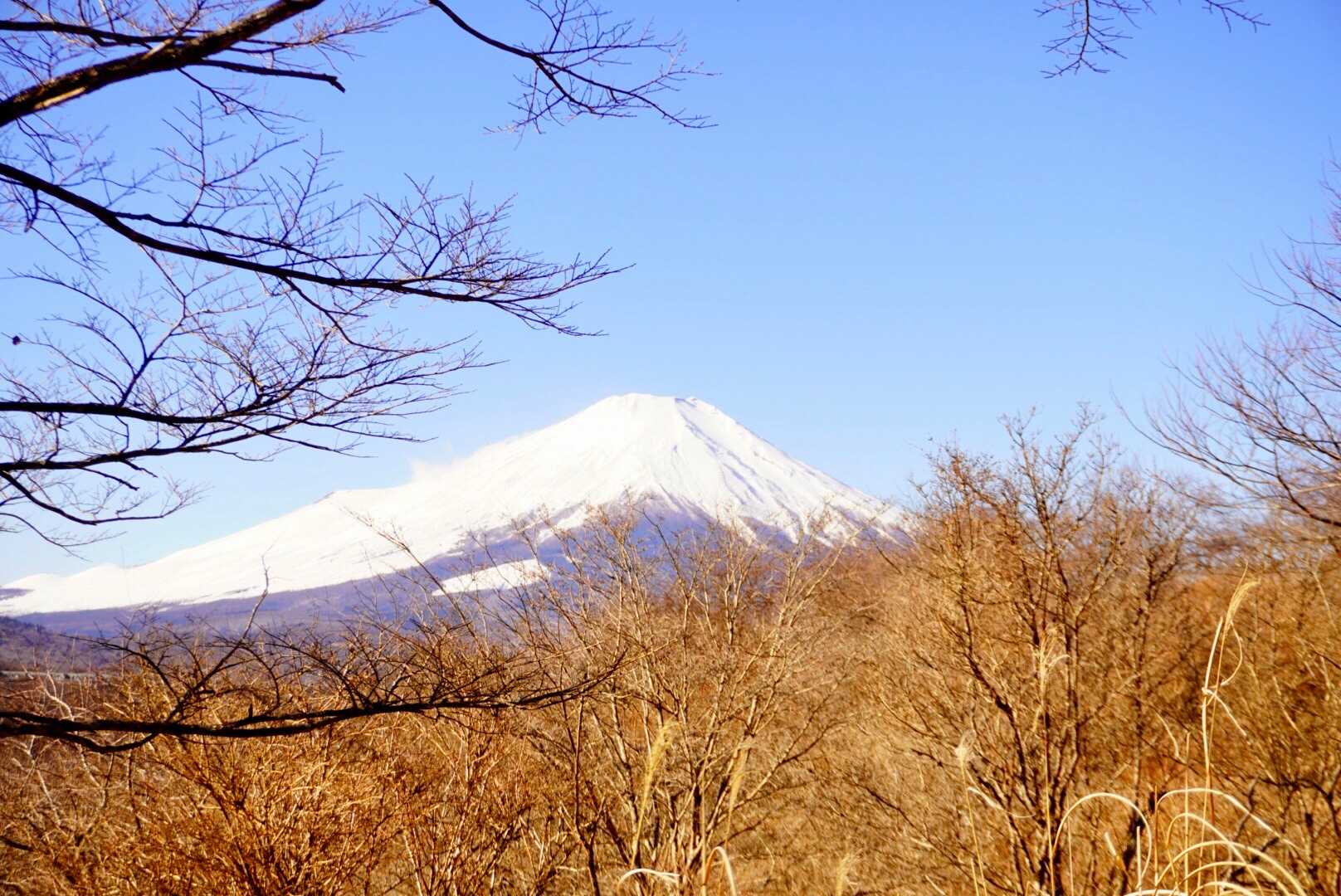 眺望の良い場所。