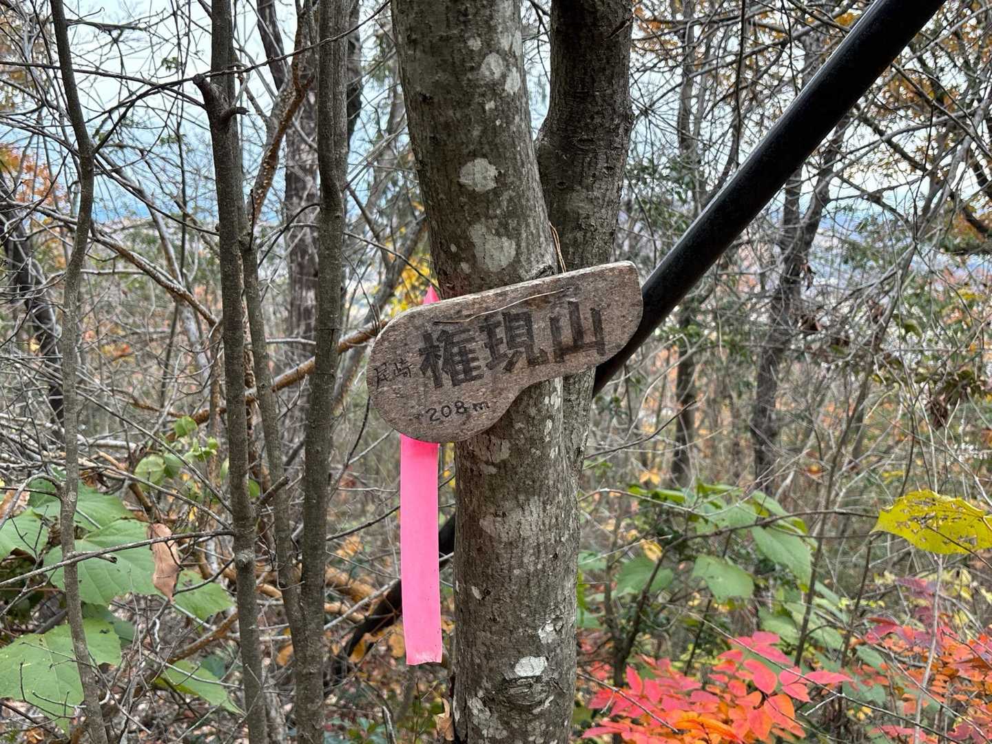 着きました！
尾崎⁇権現山。