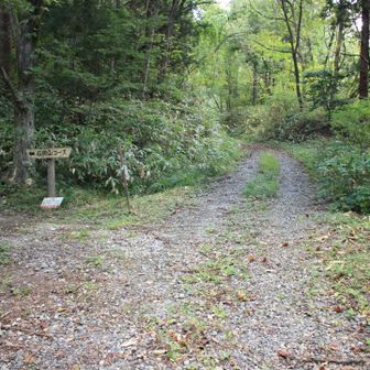 駐車場からすぐの石切山方面への分岐

YAMAPで左の方に通行禁止の道があると見ていたので最初林道をまっすぐ行ったけど、ここじゃなかったみたいで途中で地図見たら登山道とズレてたので戻ってきました💦