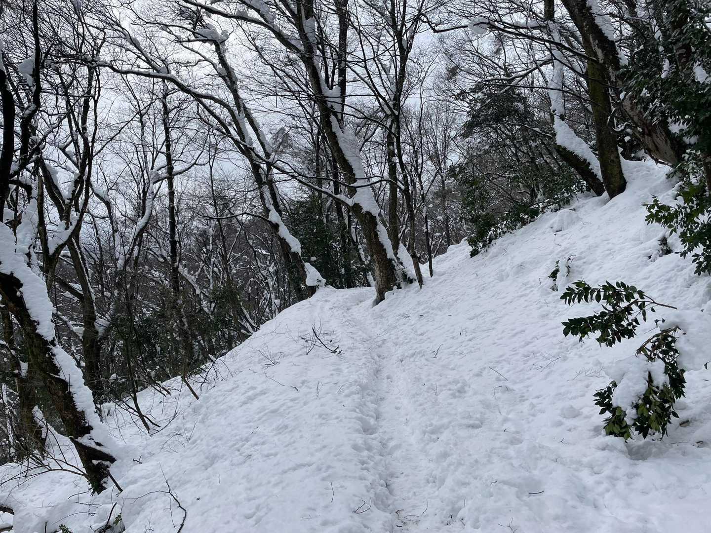 大村登山口-文殊山 往復コースの写真