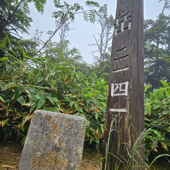 残念ながら
眺望の無い三角点
今日はどっちにしろ
真っ白だな