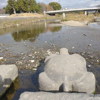 いろんな形の石