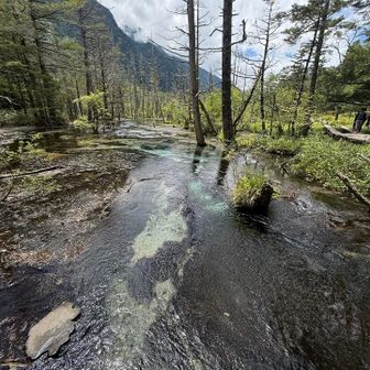水がめちゃくちゃ綺麗