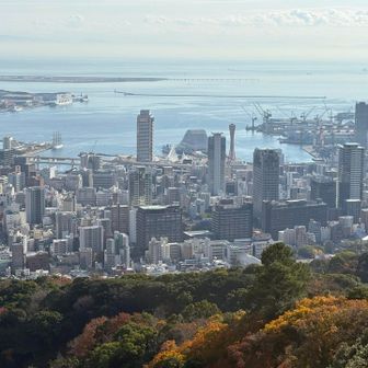 ジオラマのような街並み
