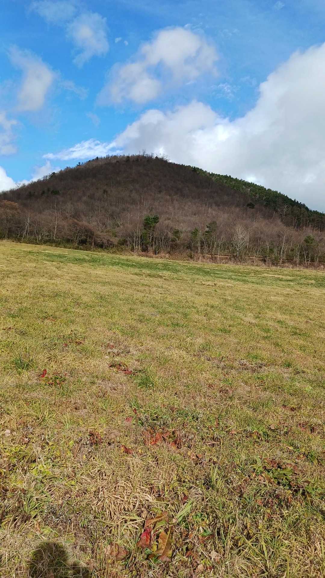 パラコース登山口-高倉山 往復コースの写真