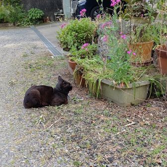 hiroki@善師野登山部