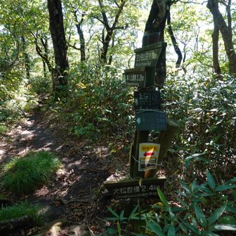 まもなく嫌な舗装路歩き
